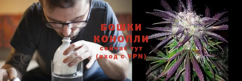 закладки  Новопавловск  ОМГ ОМГ   Конопля OG Kush 